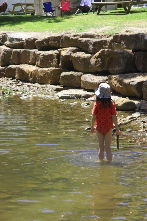 Big4 Wye River Holiday Park 외부 사진